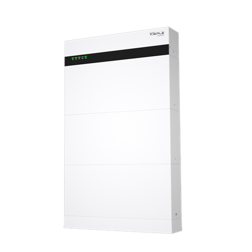 SolaX HS50E-D